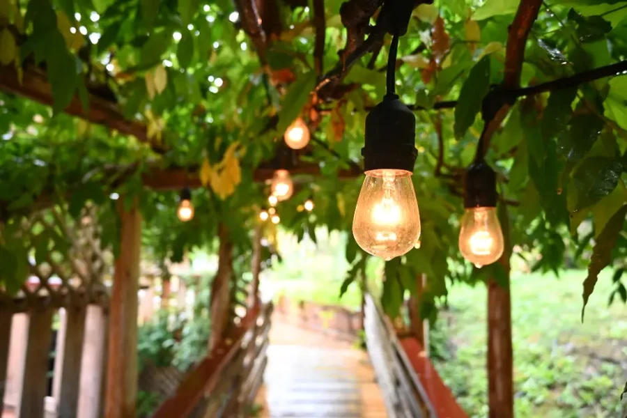 Excellent Outdoor Lighting Installation Murrieta, CA